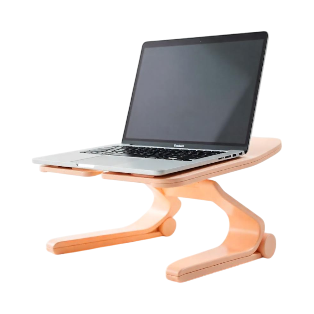 Imagen de ErgoStand Pro