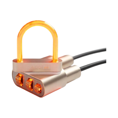 Imagen de Portable Lock Box