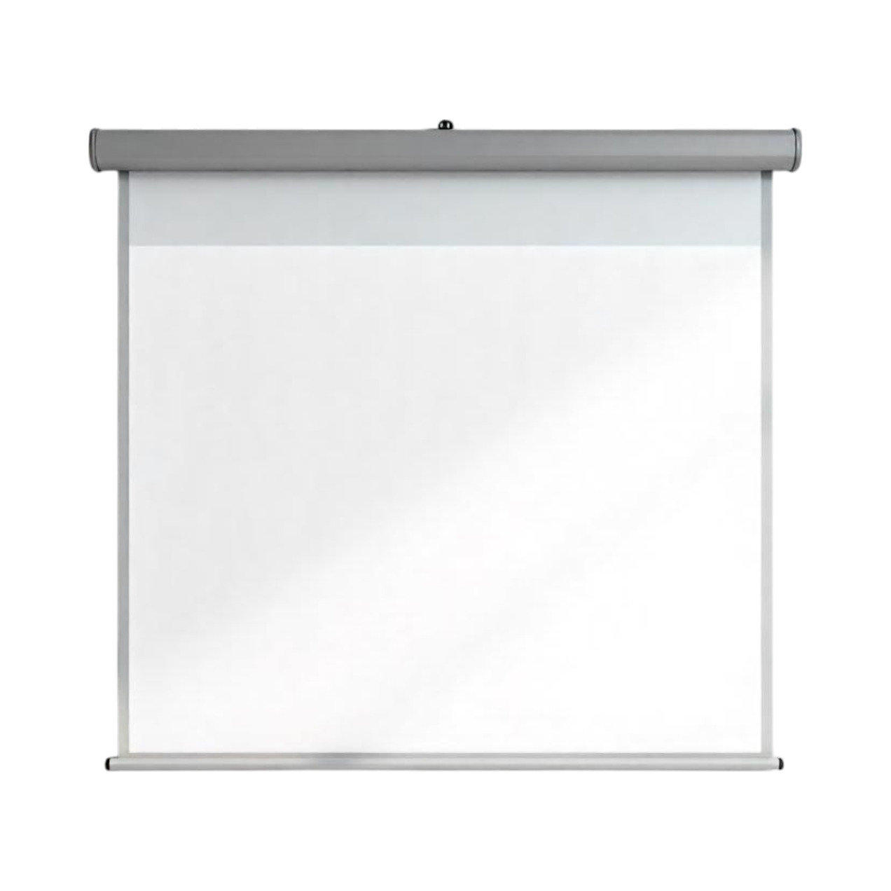 Imagen de HOIN 100-inch Portable Screen