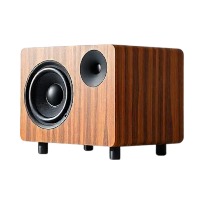 Imagen de Definitive Technology D11