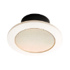 Imagen de JBL SP6II