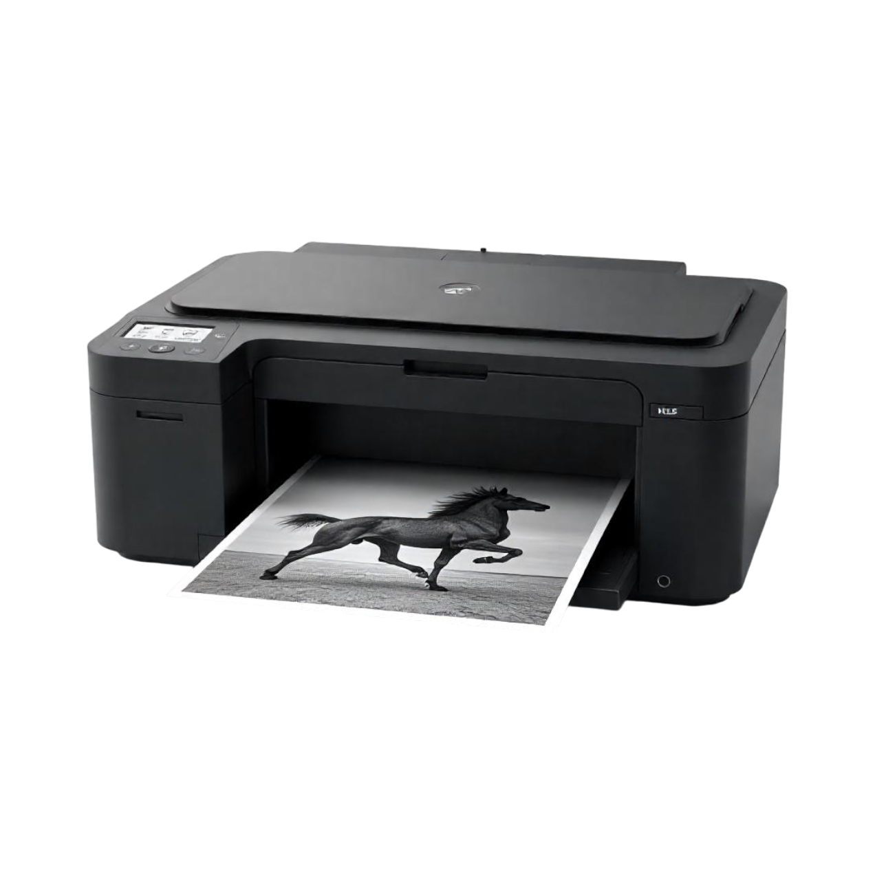 Imagen de DNP DS-RX1HS