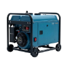 Imagen de DuroMax XP12000EH