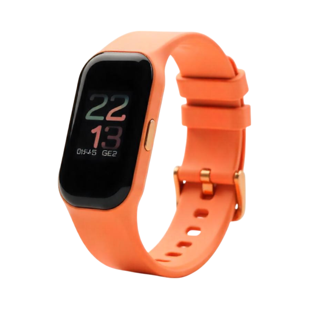 Imagen de Garmin Lily